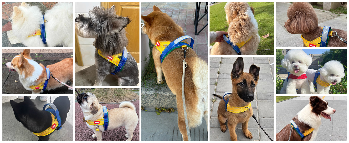 Нашийник для собак середніх та маленьких порід з повідком, кольоровий, з м'якою підкладкою, з ручкою та кільцем, світловідбиваючий, легкий, чорно-сірий, розмір M