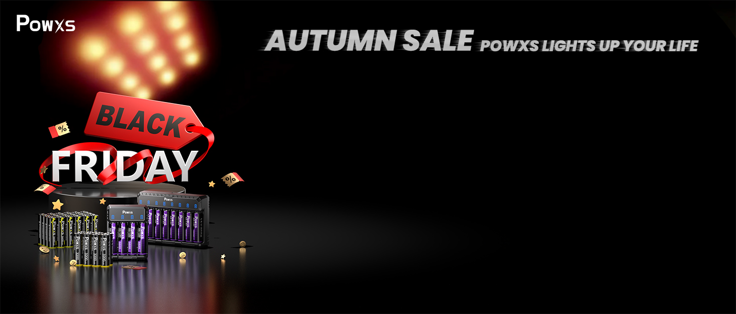 Зарядний пристрій POWXS для акумуляторів NI-MH NI-CD AA AAA з LCD-дисплеєм, універсальний, Micro USB & Type-C, безпечний