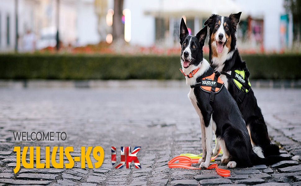 Шлейка для собак K9 Powergeschirr, розмір XL/2, неонова чорна