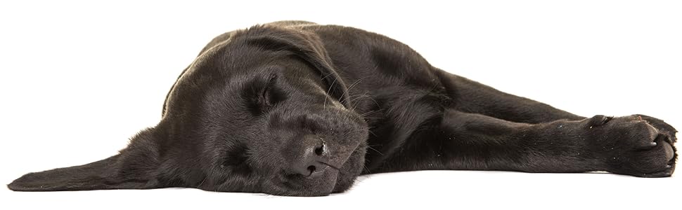 Софа для собак Baldiflex Nerone 120x75 см, з Memory Foam, інноваційна модель