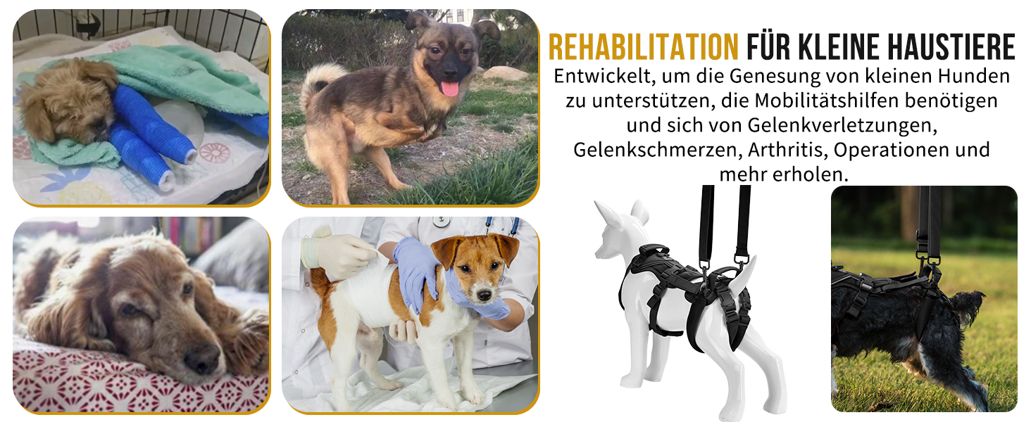 Шлейка для собак OneTigris Hopper для підтримки та реабілітації, чорна, XS (3-5 кг)