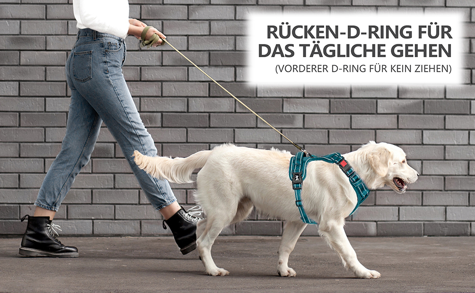 Шлейка для собак PoyPet без натягу, світловідбиваюча, регульована, м'яка, для маленьких собак (Tumalo Teal, S)