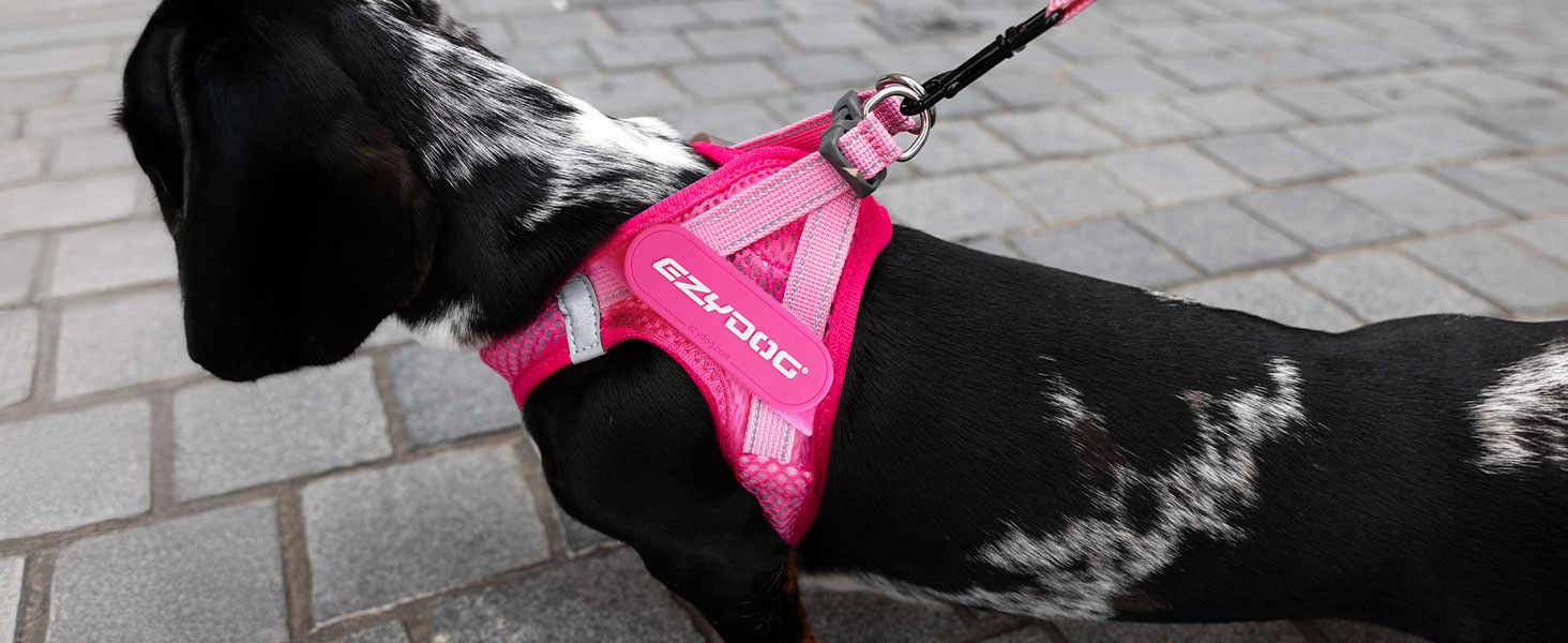 Шлейка для собак EzyDog FORMFIT для маленьких собак – дихаюча сітка 3D Air Mesh, легка, регульована, з відбиваючими елементами та міцним D-подібним кільцем (XS, Червона)