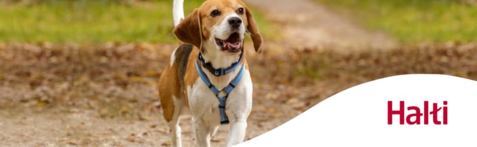 Рулетка для собак HALTI Rollleine, велика (L), чорна: безпечна та зручна повідкова рулетка для великих собак