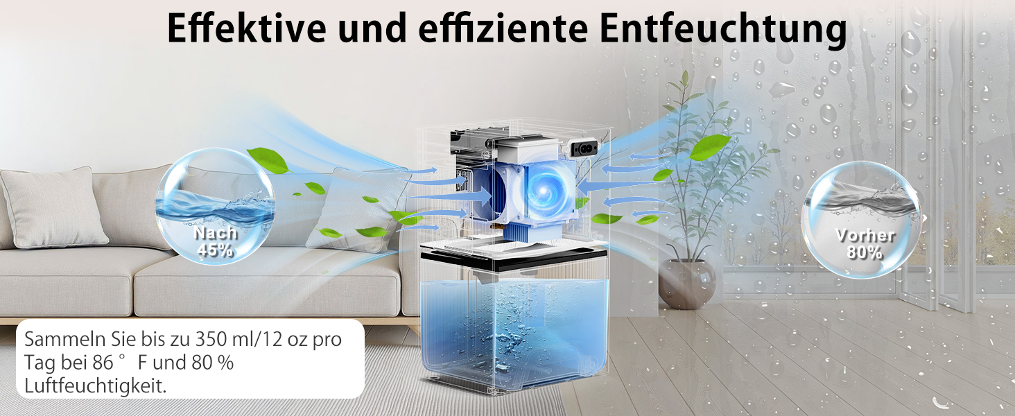Електричний осушувач повітря 2400 мл з автоматичним відтаванням, 10 кольорів підсвічування, таймер 8/12/24 год, портативний для ванної, спальні, кухні, шафи (новий білий)