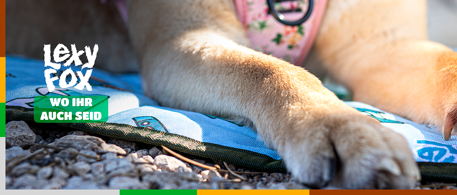Лежанка для собак LexyFox: водовідштовхувальна, ізольована, з антиковзаючим покриттям | Підходить для подорожей, кемпінгу та відпочинку на природі | Лежанка для собак, килимок для тварин
