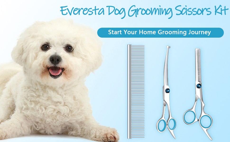 Професійні ножиці для грумінгу собак та котів: титанові, з округлими безпечними кінцями, розріджуючі та прямі ножиці з гребінцем (чорний)