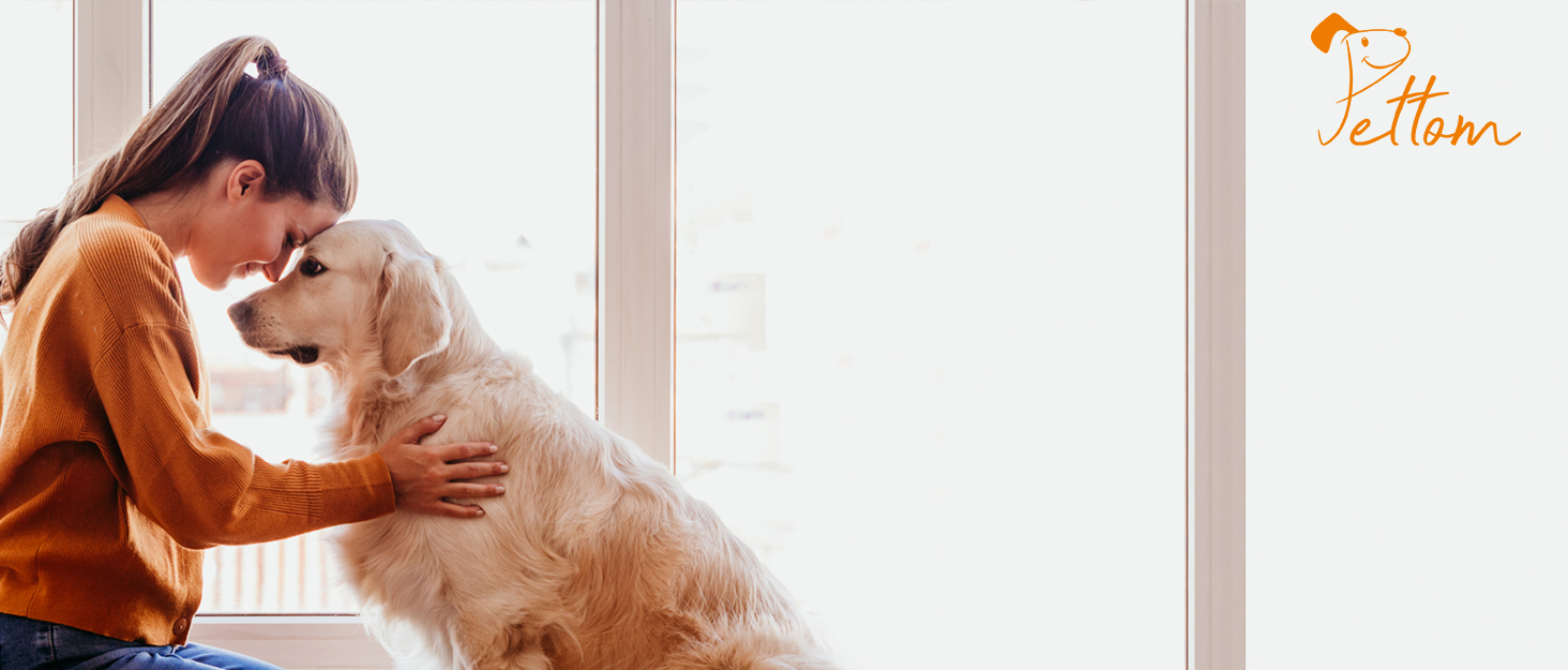 Підвищений годівниця для собак PETTOM (2 x 1.6L), 4 положення регулювання висоти, годівниця з нержавіючої сталі та миска для води без розливання, складна та антиковзаюча годівниця для собак великих та малих порід, годівниця для собак з нержавіючої сталі