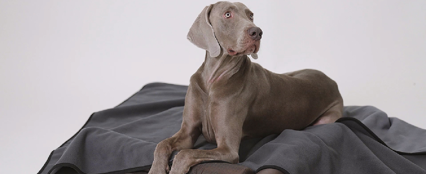 Водонепроникний коврик для собак PETTOM 152x127 см, м'який коврик для великих та маленьких собак, захисний коврик для дивана, ліжка, автокрісла, меблів - прання до 30°C (L, Сірий)