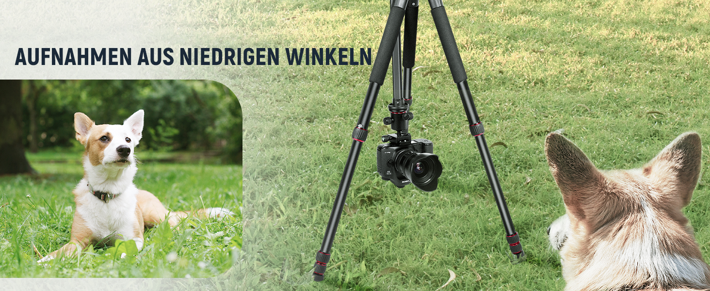 Штатив для камери NEEWER з моноподом, 72 дюйми, алюміній, для DSLR/Camcorder, 360° кульковий голівкою, QR-платівкою Arca, максимальне навантаження 33 lbs, з серветкою для чищення