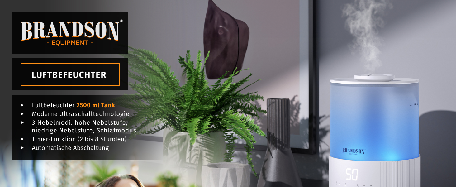 Зволожувач повітря Brandson з дисплеєм, 2.5 л, 3 режими, регулювання вологості, тихий, LED-підсвітка, таймер, режим сну, для вітальні та спальні