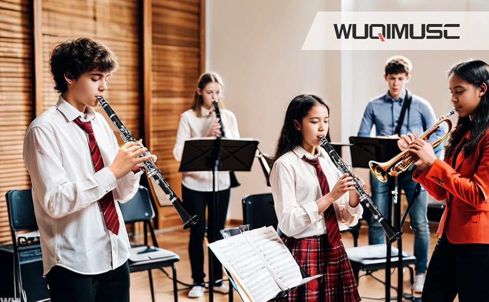 Професійний корпус кларнета WUQIMUSC з палісандрового дерева, срібний, клавіші B, 17 клавіш Bb, 2 фауни, жорсткий кейс, білі рукавички (палісандр) (матеріал ебоніт)
