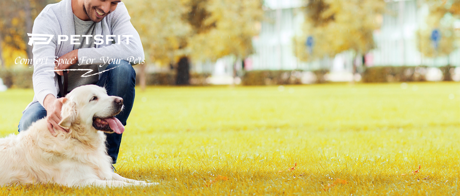 Транспортна переноска для собак та котів Petsfit, складана, для подорожей та авто, XS, зелена