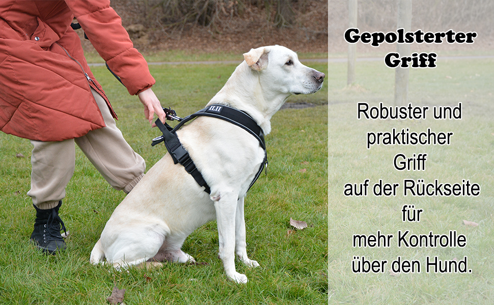 Нашийник для собак ILII Y - міцний, елегантний та комфортний. Унікальний дизайн для середніх та великих собак. Чорний, мінімальне покриття