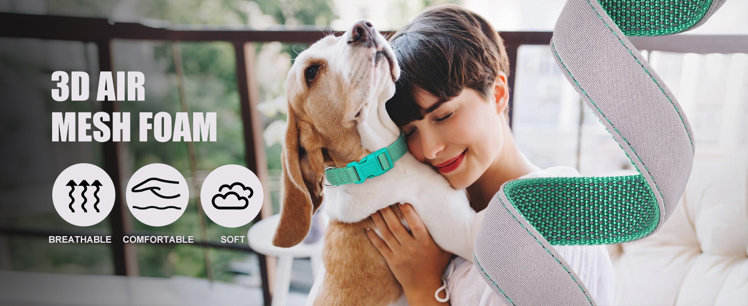 Відбиваючий нашийник для собак Didog з пряжкою, регульований, м'який неопрен, з підкладкою, нейлон, для маленьких, середніх та великих собак, зелений, L: обхват шиї 33-56 см