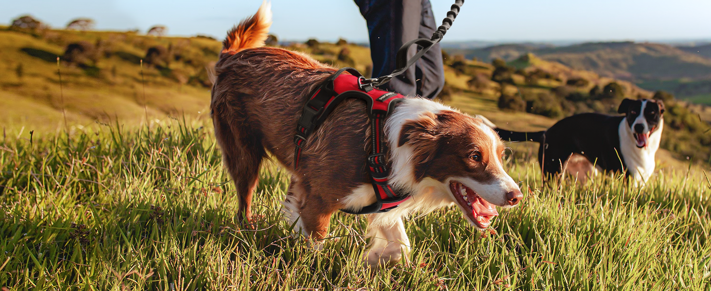Нагрудник для собак Rabbitgoo середнього розміру, анти-тяга, регульований, великі собаки, дихаючий, з світловідбиваючими смугами, безпечне ведення, червоний (1 шт.)