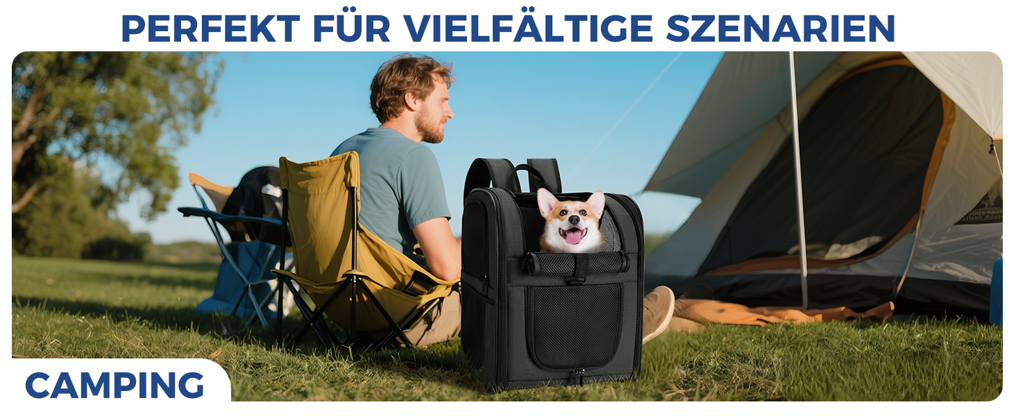 Рюкзак для собак та котів Apollo Walker - зручний та дихаючий, для малих тварин (2-15 кг), чорний