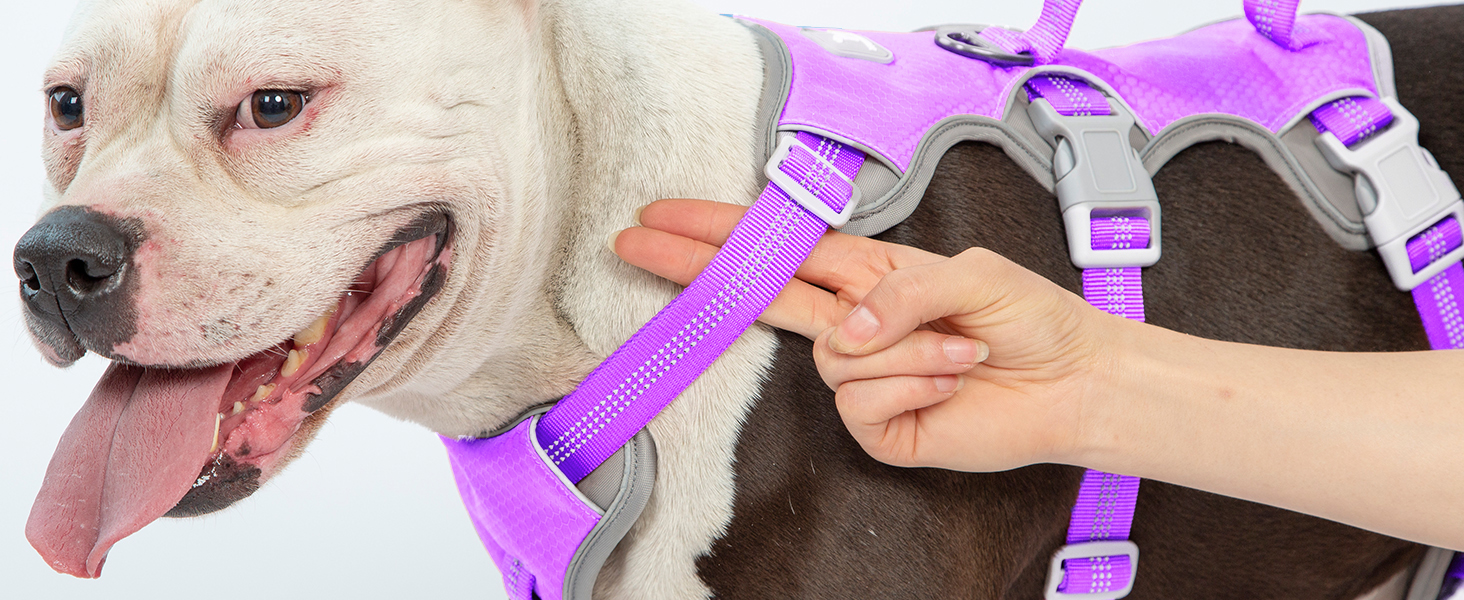 Нашийник для собак Huntboo, великих порід, анти-вислизання, світловідбиваючий, водонепроникний, регульований, для прогулянок та бігу (L, фіолетовий лаванда)