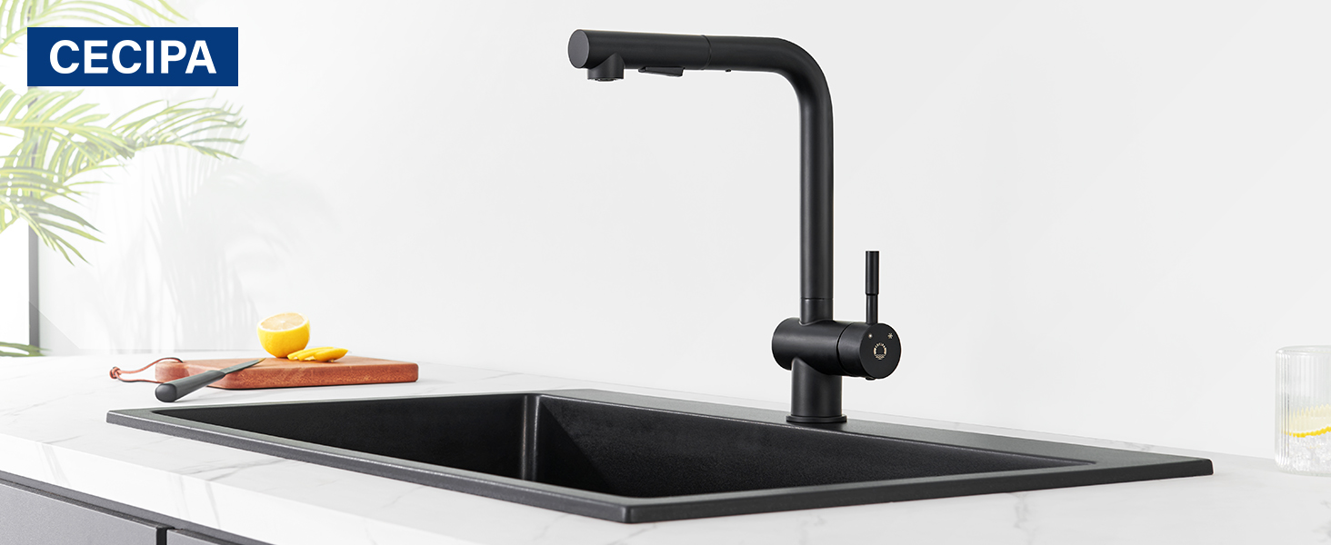 Кран кухонний CECIPA Hochdruck, висувна насадка, двосторонній струмінь, поворотний 360°, з нержавіючої сталі, чорний матовий, ×207B L-подібний, ×2