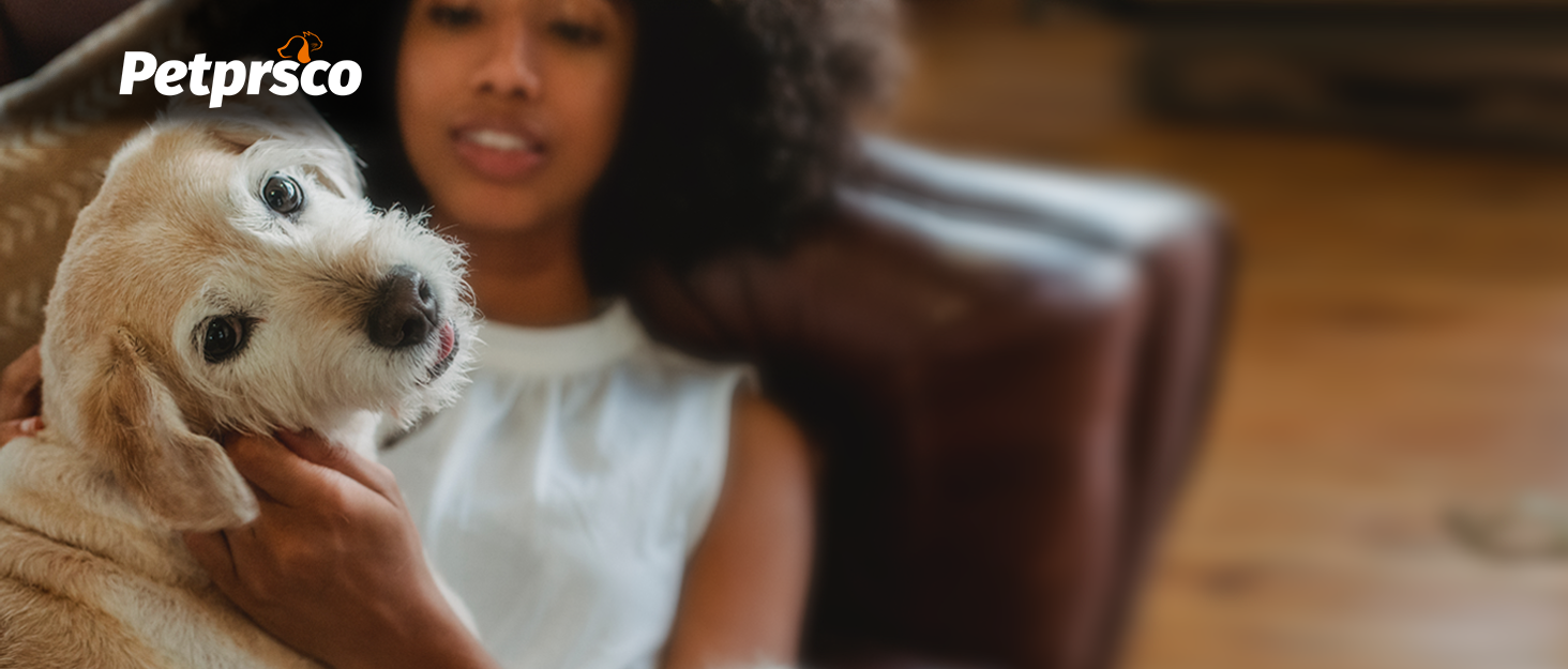 Транспортний бокс для тварин Petprsco з м'якими стінками, 3-дверний, для котів та маленьких собак, блакитний, 60x42x42 см