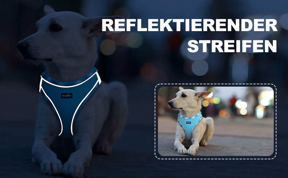 Нашийник та поводок для собак Haapaw, без натягу, регульований, світловідбиваючий, Step-in, для цуценят та маленьких собак, з м'якою підкладкою, блакитний, розмір M (обхват грудей 38.1-45.7 см, вага 4.5-6.8 кг)