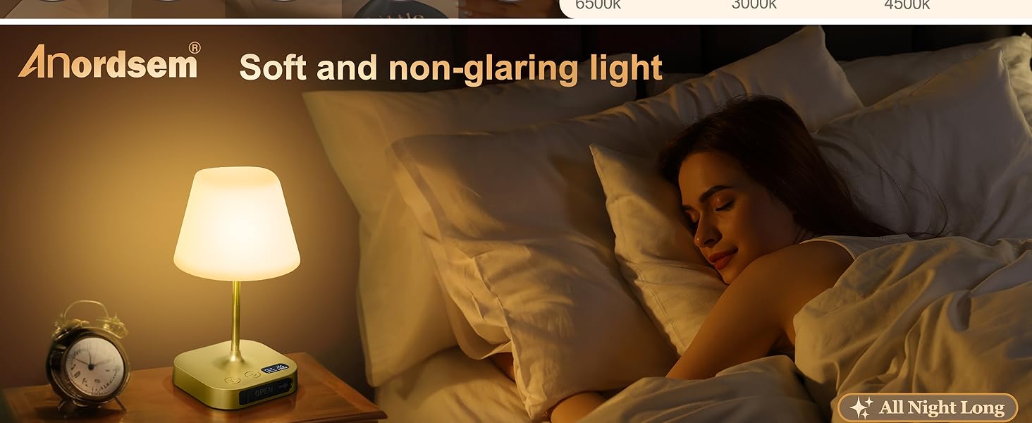 LED акумуляторна настільна лампа Anordsem: торшери бездротові з USB-A/C, сенсорне регулювання, для дитячої/дизайну, читання, подарунок