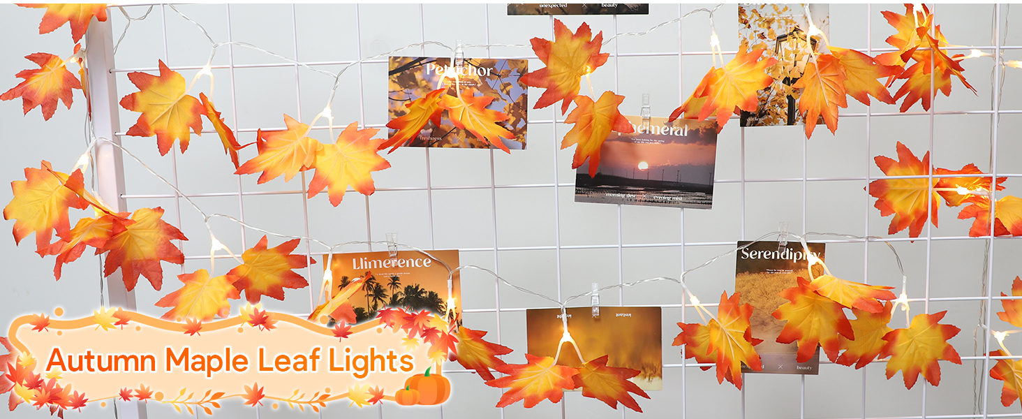 Ланцюжок LED-ліхтарів 2x2м, 200 LED, USB, тепле біле світло для декору, вечірки, Рамадан, весілля, Новий рік, стіни, спальня