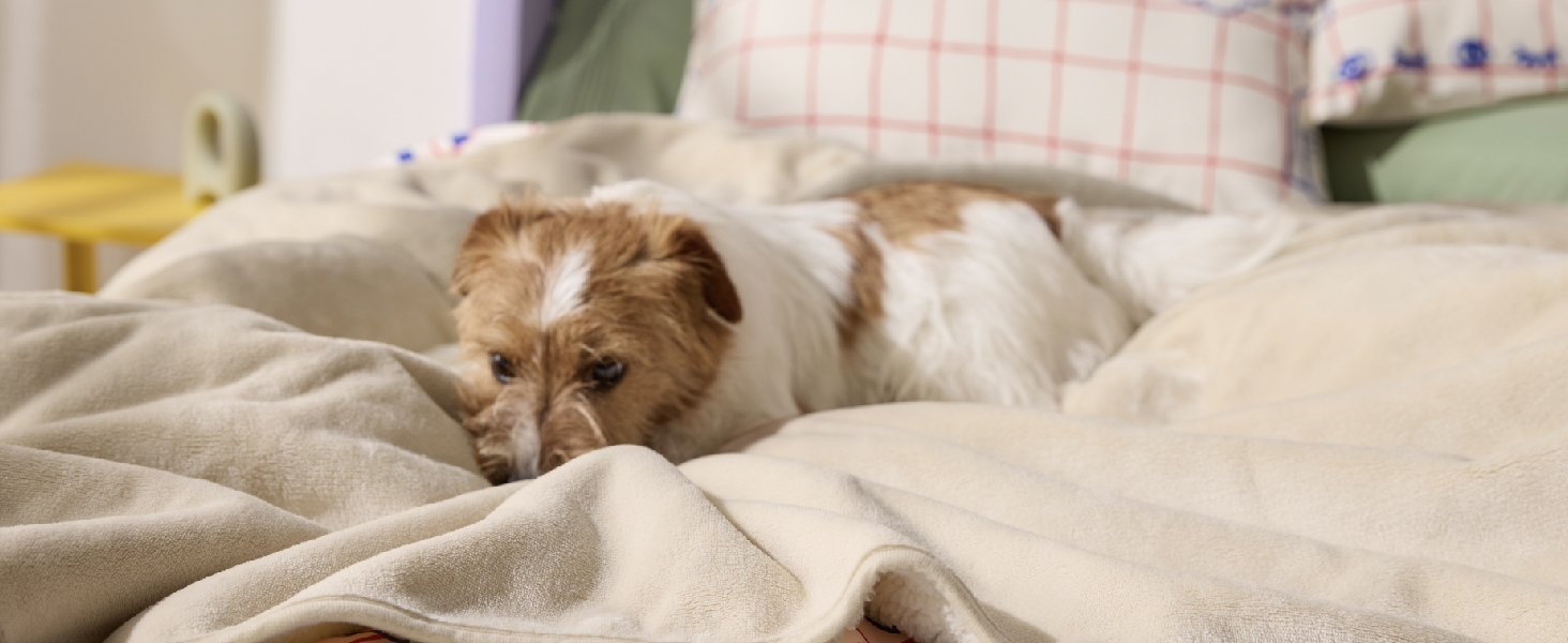 Водонепроникний коврик для собак Lesure, великі породи, 100x120 см, Outdoor, Sherpa Fleece, для дому та на вулицю, сірий