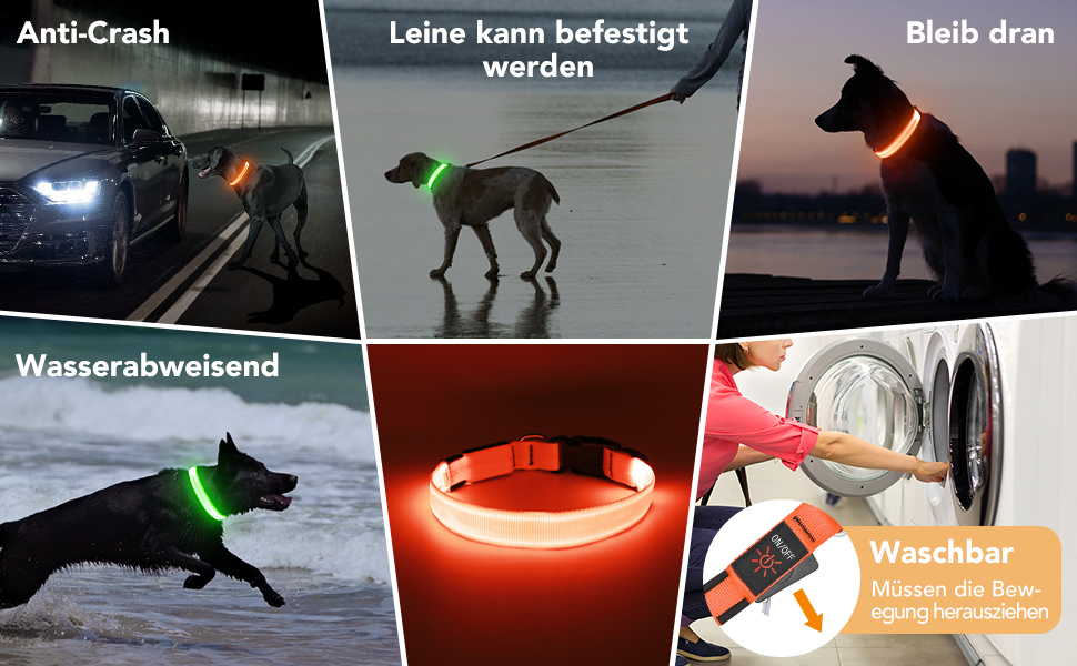 LED-нашийник для собак, перезаряджається через USB, водонепроникний, яскравий, регульований, для середніх та великих собак (зелений, M)