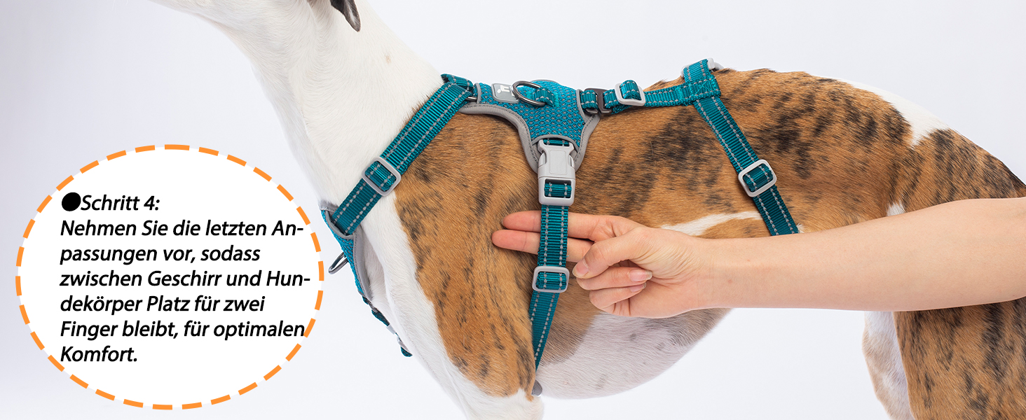 Шлейка Huntboo для собак: безпечна від виривання, антистресова, з відбиваючими елементами, регульована, легка (розмір S, блакитна)