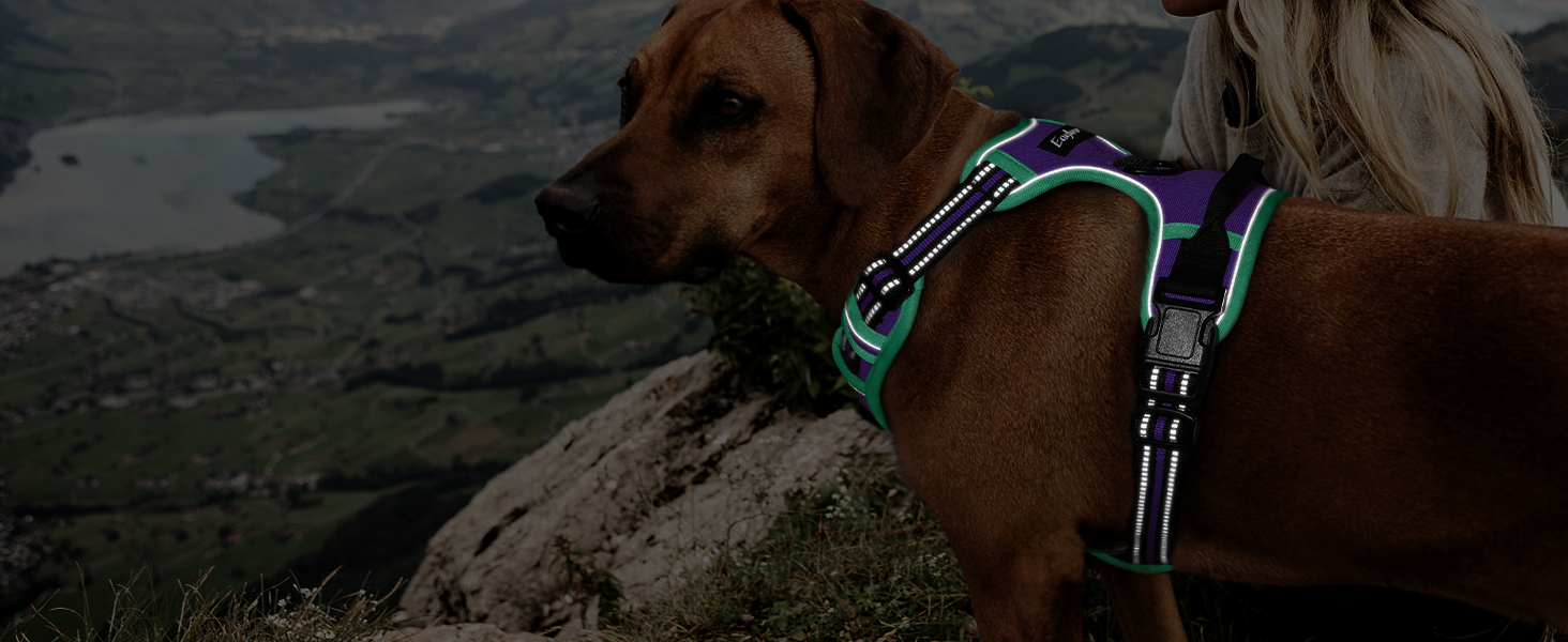 Шлейка для собак великих порід Eagloo, анти-тяга, з відбиваючими смугами, регульована, для Лабрадора, L (1 шт, м'ятно-зелений & фіолетовий)