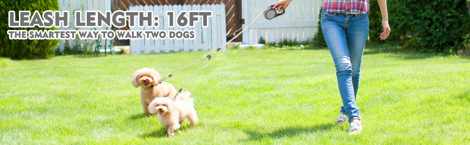 KOOLTAIL Подвійна висувна собача шлейка - міцна, двоколірна 5 м висувна шлейка для собак маленьких, середніх та великих порід, для прогулянок, 2 собаки до 50 кг, сіра