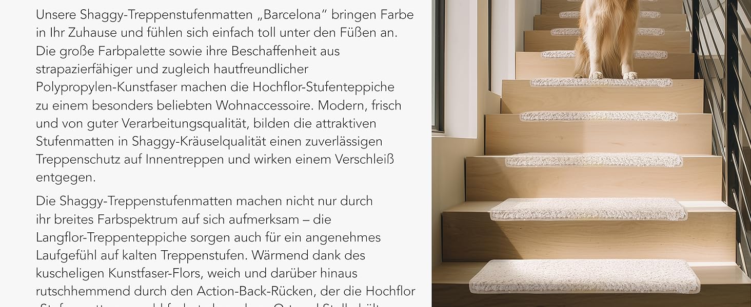 Набір килимків для сходин Floordirekt Barcelona (15 шт.) - надійні та легкі в догляді, 16 кольорів, напівкруглі (темно-коричневий, 65 x 23,5 см)