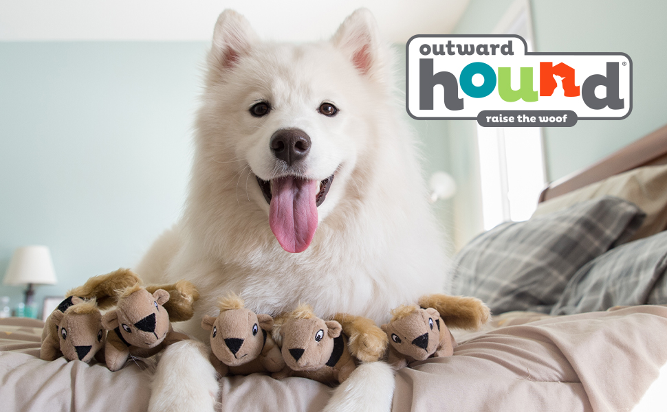 Іграшка для собак Outward Hound Hide A Squirrel XL, плюшева, інтерактивна, 3 білки
