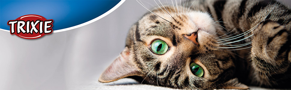 Будиночок для собак TRIXIE з драбиною, сірий (38039)