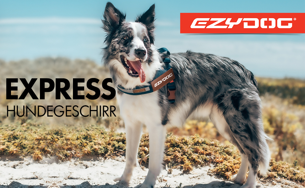 Шлейка для собак EzyDog Express - для норвезьких та інших порід, регульована, з підкладкою, для бігу та їзди на велосипеді (XS, S (52-66см), Червоний)