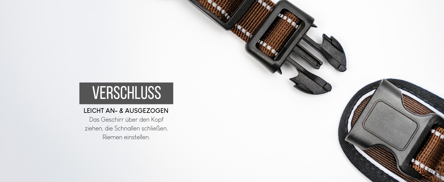 Нашийник для собак Lionto, м'який нейлон, розмір S, анти-тяга, 2 кільця, 4 регульовані ремінці, 2 застібки, гумовий хват, бежевий