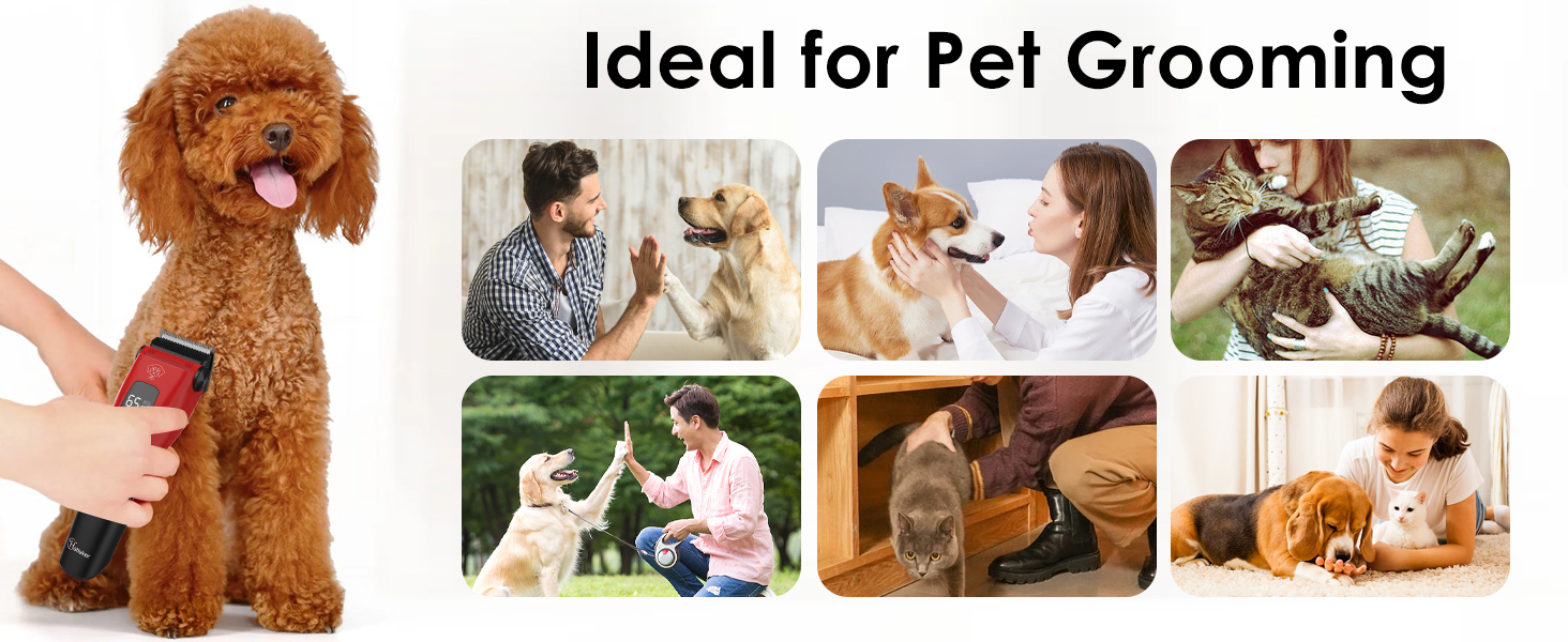 Професійна машинка для стрижки собак Hatteker: електрична, бездротова, з підсвічуванням, 7500RPM, для собак та котів