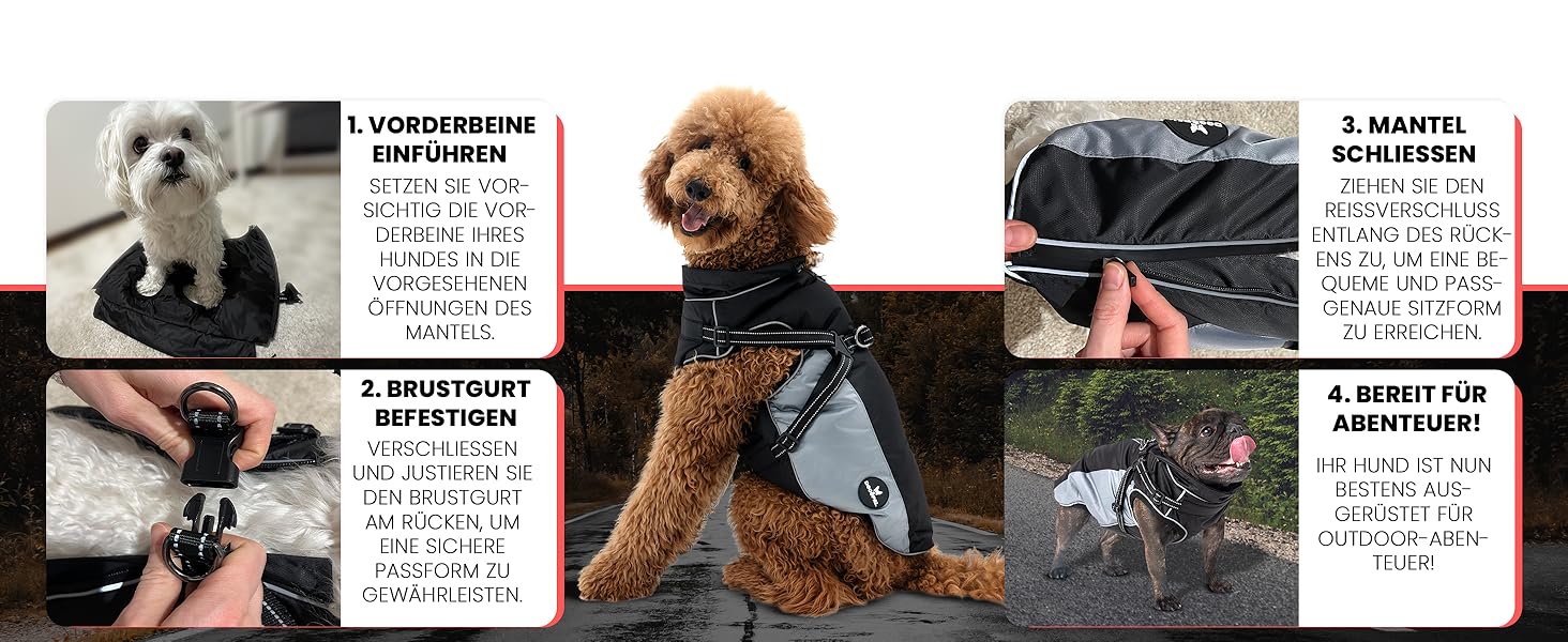 DOGOPAL Raincoat for Dogs with Integrated Harness – Waterproof Dog Raincoat, Windproof Dog Coat, Reflective Rain Jacket for Small & Large Dogs, High Visibility (Gray, #3)