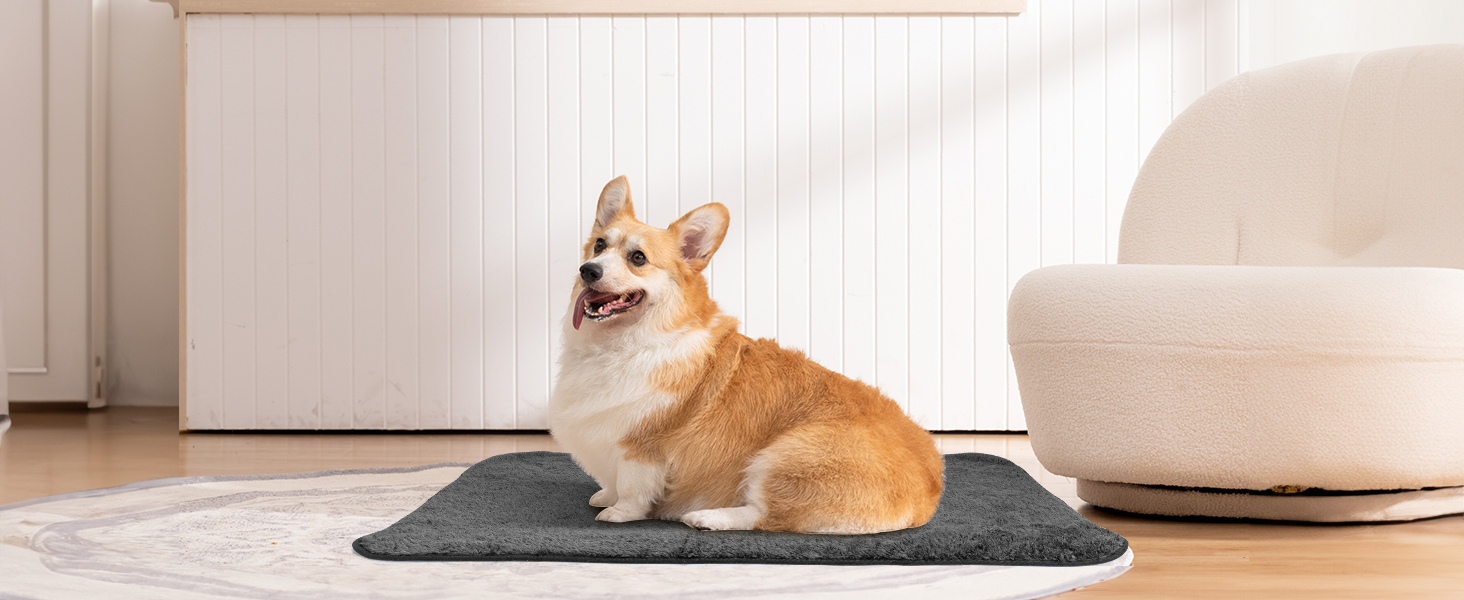 Плед для собак та котів Nobleza: м'який флісовий плед, 100x80 см, 2 шт. (темно-сірий та світло-сірий)