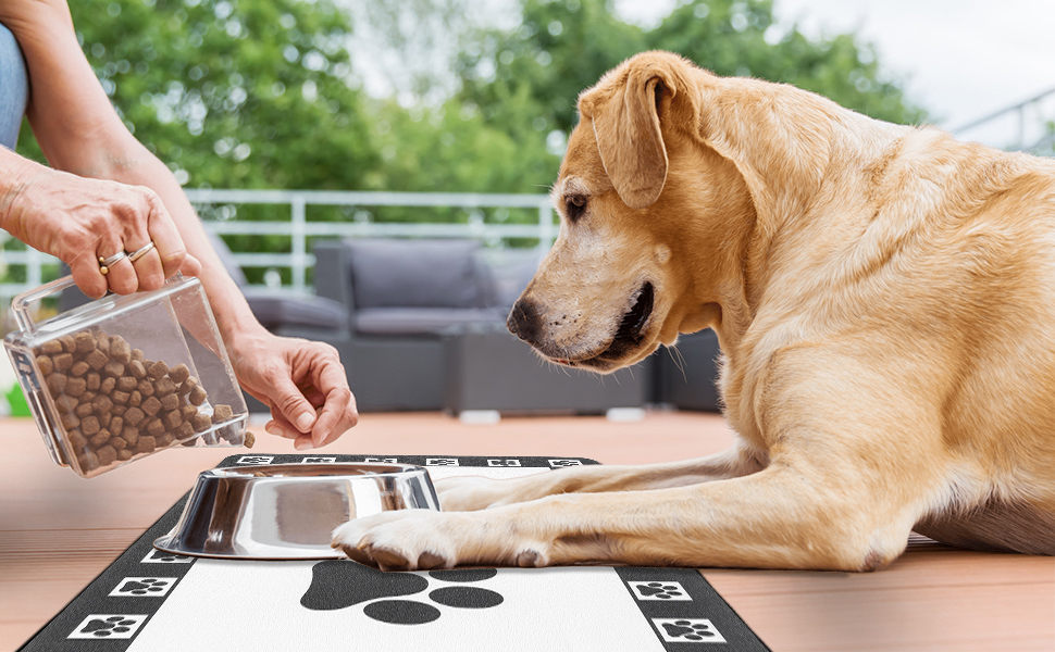 Килимок для тварин, надпоглинувач, для собак та котів, з неслизьким гумовим дном, швидковисихаючий, миючий, 40 x 60 см, 2 пари принтів лап, з точками