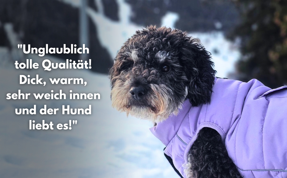 Зимова куртка для собак Spark Paws Warmshield™, теплий фліс, водостійка, вітрозахисна, з відбивачами, для середніх і великих собак, лілова, розмір M (S: 2-5 кг)