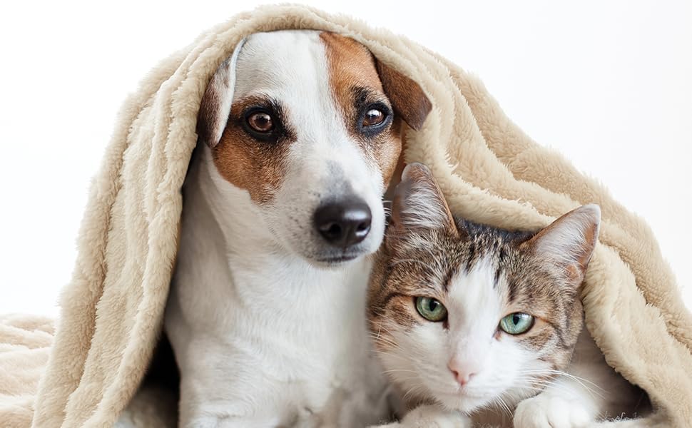 MIULEE Деки для собак 70x100 см, м'яка ковдра для собак та котів, флісова ковдра, легко миється, підходить для собак, котів, морських свинок та інших тварин (Small(40*60cm), Бежевий)