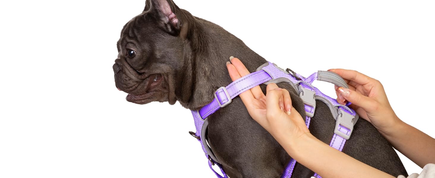 Шлейка для собак Huntboo, безпечна та надійна, з відбиваючими елементами та м'якою ручкою, регульована жилетка для маленьких собак, для прогулянок та тренувань (S, Лавандово-фіолетовий, упаковка з 1)