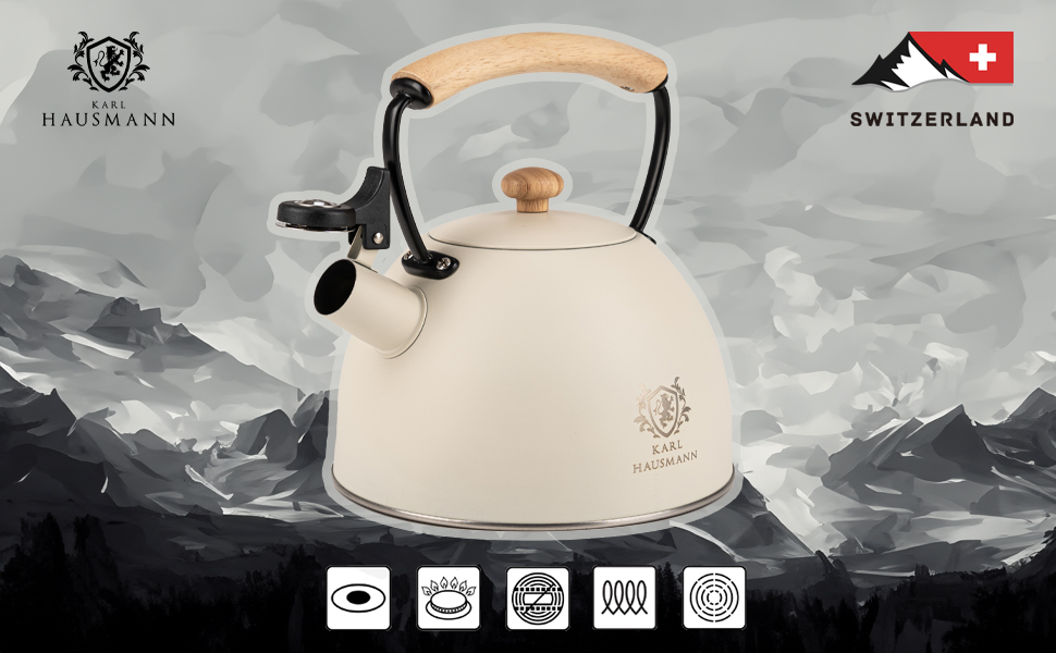 Індивідуальний чайник з нержавіючої сталі 2.5L з автоматичним свистком для індукційних, газових та електричних плит