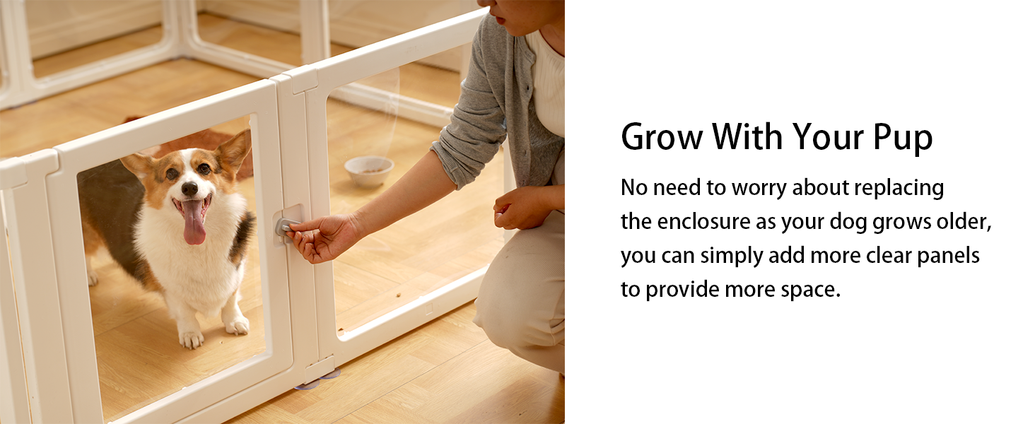 Летіж для цуценят на 8 місць, розкладний, 60 см, прозорий, для собак, котів, кроликів та дрібних тварин, з неслизьким дном, білий