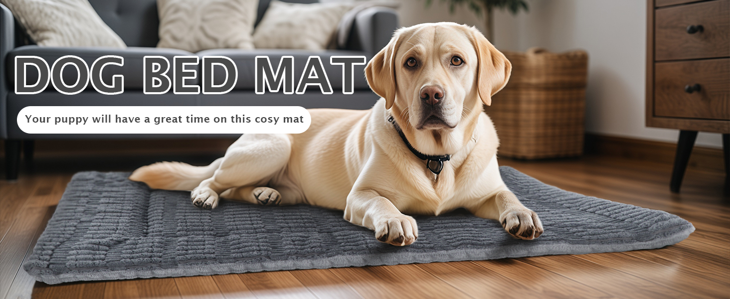 Лежанка для собак IEUUMLER, м'яка та тепла, з memory foam, 90x70 см (Сірий)