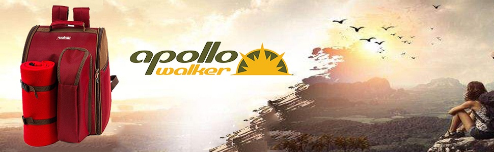 Рюкзак для пікніка Apollowalker на 2 особи з термовідділенням, посудом і флісовою ковдрою, червоний