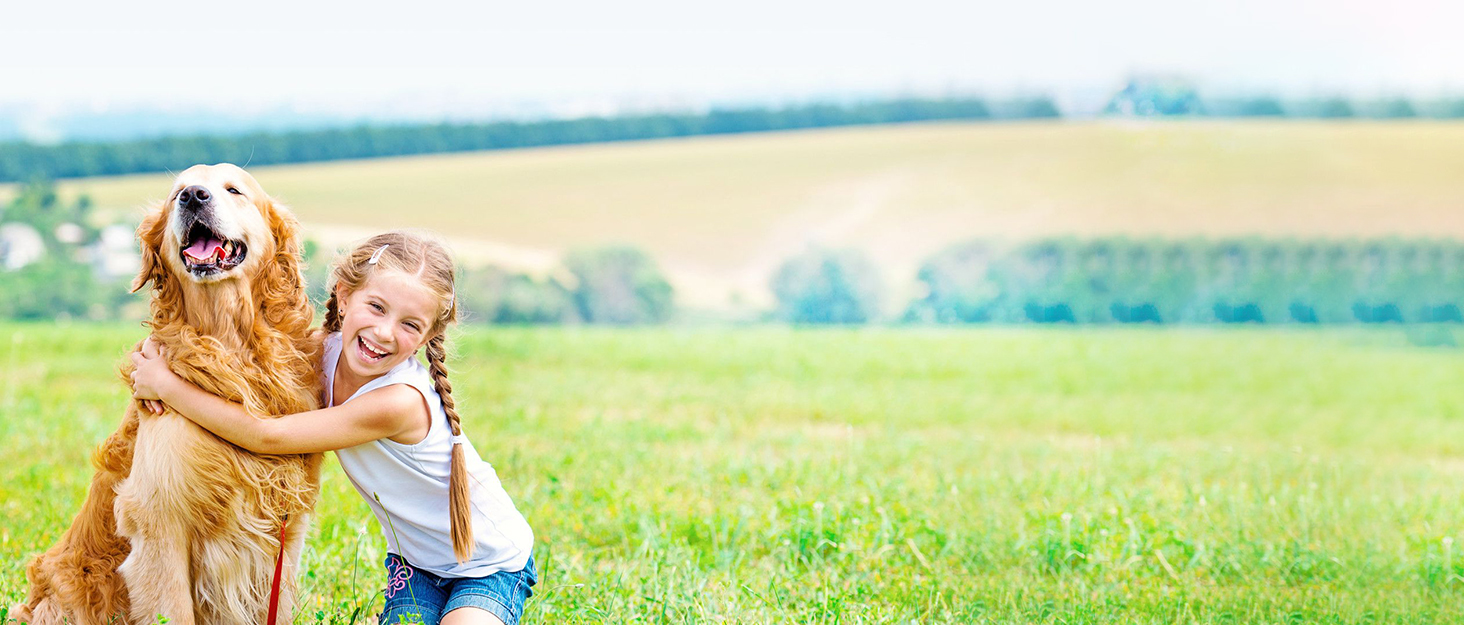 Автокрісло для собак PETCUTE - зручне, миється, з кишенею та страхувальним ремінцем, сірого кольору