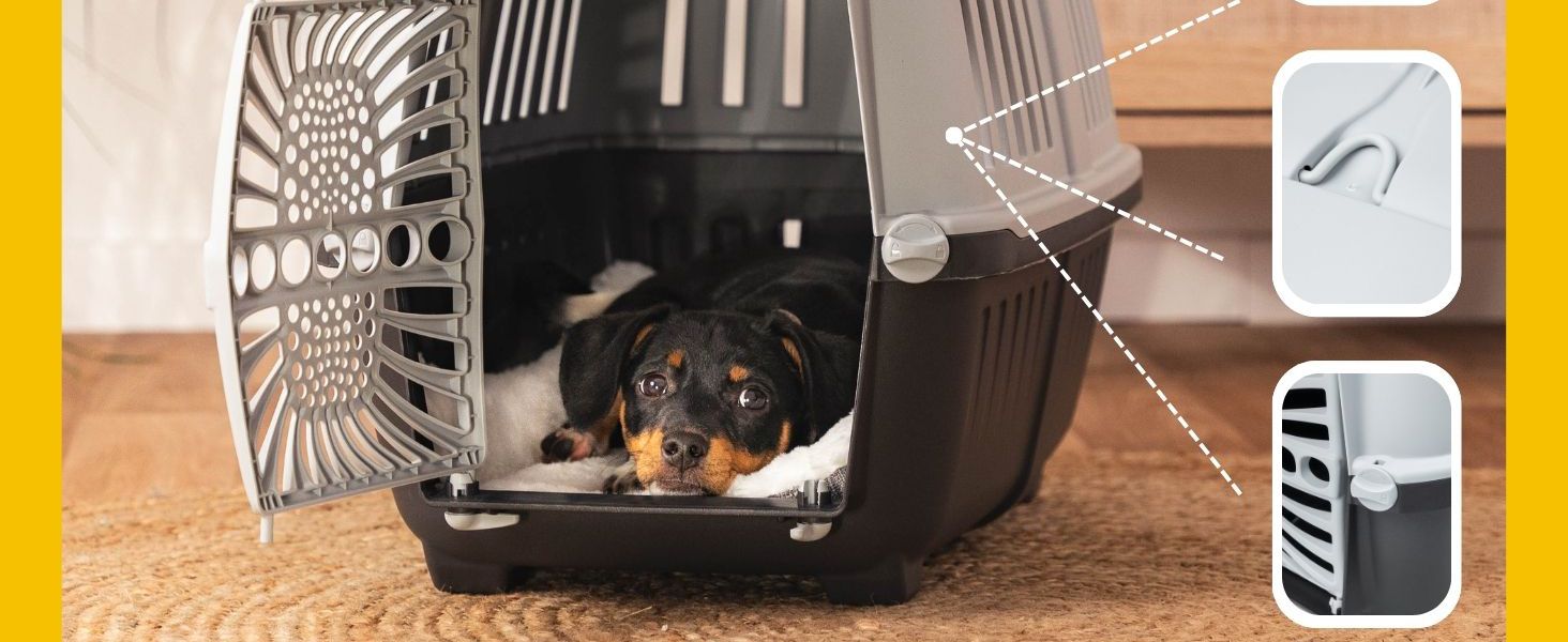 Транспортний бокс для собак Lionto, 55x36x36 см, з ручкою, для собак та котів, до 15 кг, синій